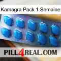 Kamagra 1 Week Pack viagra1